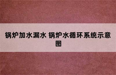 锅炉加水漏水 锅炉水循环系统示意图